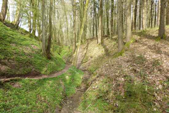 Hexenklamm Gersbach